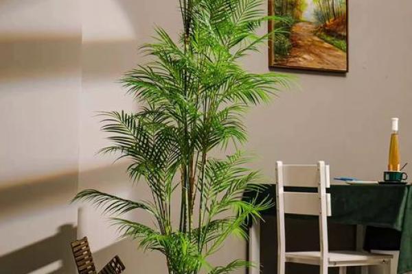 假花摆放在房屋里哪里不会影响到风水呢