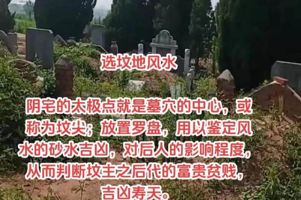 子女总是能当官的祖坟风水
