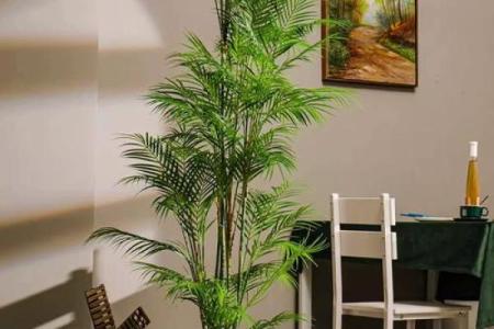 假花摆放在房屋里哪里不会影响到风水呢