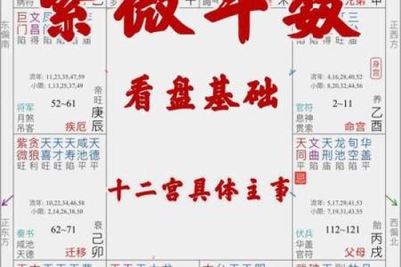 紫薇斗数文曲属性