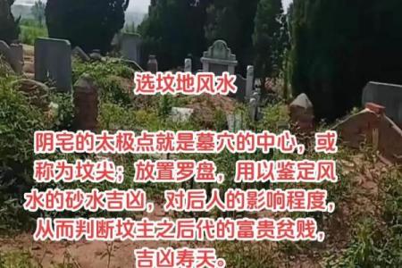 子女总是能当官的祖坟风水