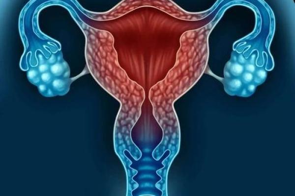 女性来例假不能算命吗知乎 女性来例假不能算命吗知乎