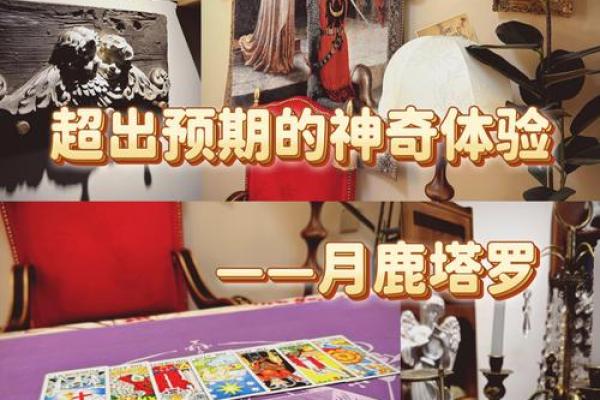 塔罗测试：这份工作值得你坚持做下去吗？