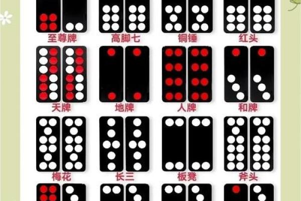 那种算命的牌叫什么