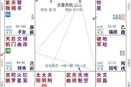 紫薇斗数平是什么意思
