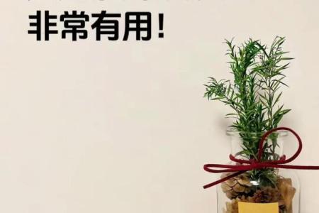 生意不好，风水有妙招