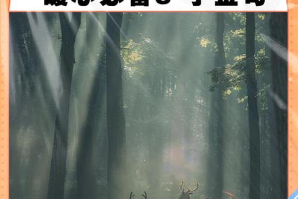 八字暖心情话 八字暖心情话