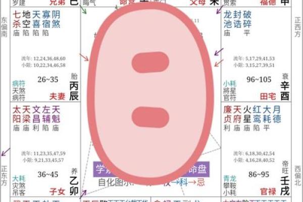 八字天元坐录详解:命盘分析、五行缺失、流年吉凶通解 八字天元坐录详解:命盘分析、五行缺失、流年吉凶通解
