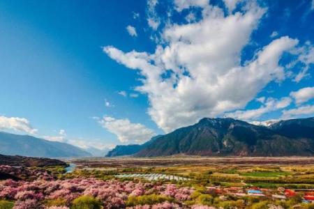 【八字基本资料查询】人生路途方向如何？