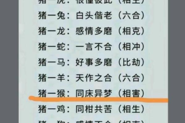 一龙一猪是什么生肖(一龙一猪是什么生肖,猜一个动物,权威解答) 一龙一猪是什么生肖(一龙一猪是什么生肖,猜一个动物,权威解答)