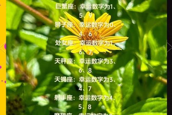 处女座明日运势大揭秘好运连连事业爱情双丰收 处女座明日运势大揭秘好运连连事业爱情双丰收