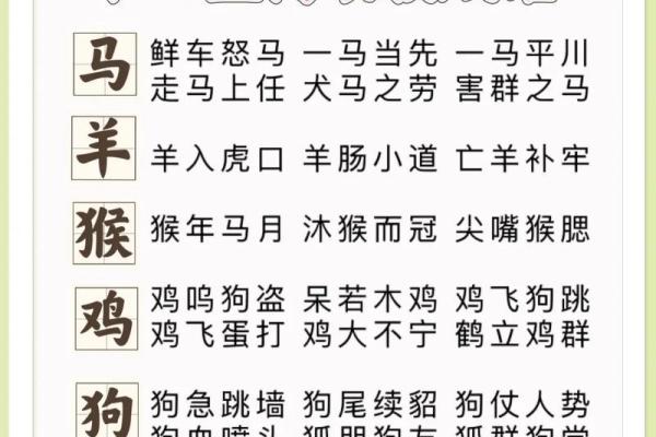 习以成俗是什么生肖(以为成语) 习以成俗是什么生肖(以为成语)