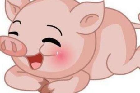 白羊座属猪女一生运势_白羊属猪女什么意思