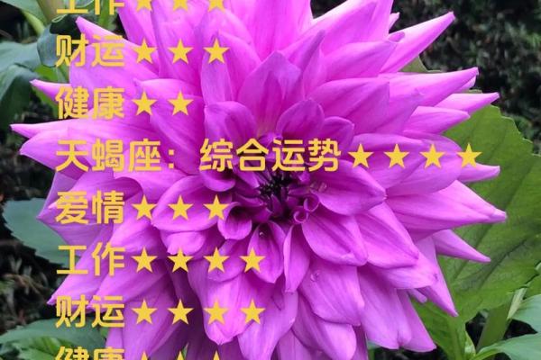 2025年3月26日今日天秤座运势 2025年3月26日今日天秤座运势