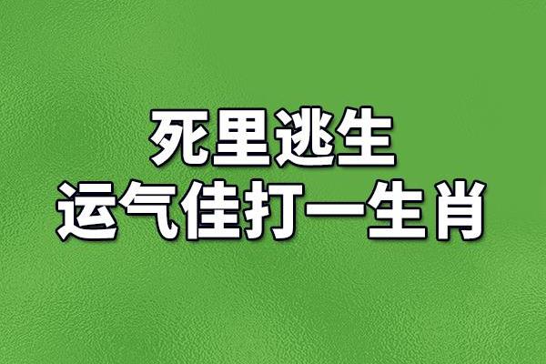 任人摆布打一准确生肖是什么(任人摆布是哪种人) 任人摆布打一准确生肖是什么(任人摆布是哪种人)