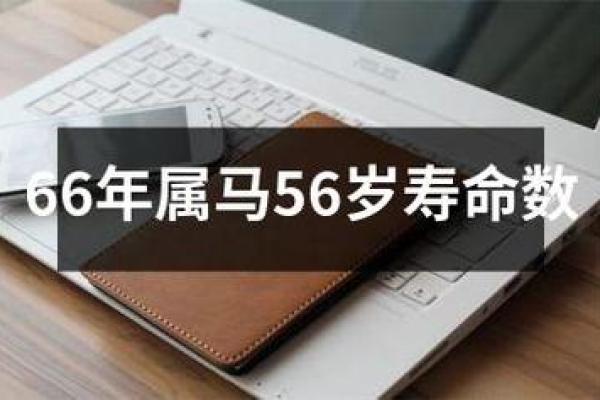 1966年属马的交运时间_1966年属马人的运程 1966年属马的交运时间_1966年属马人的运程
