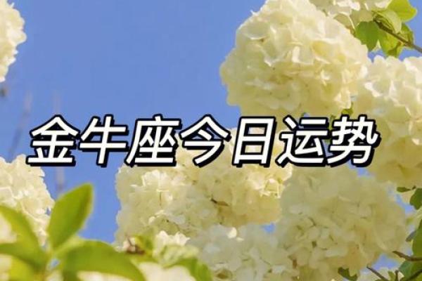 金牛座今日运势解析水墨先生网独家预测 金牛座今日运势解析水墨先生网独家预测