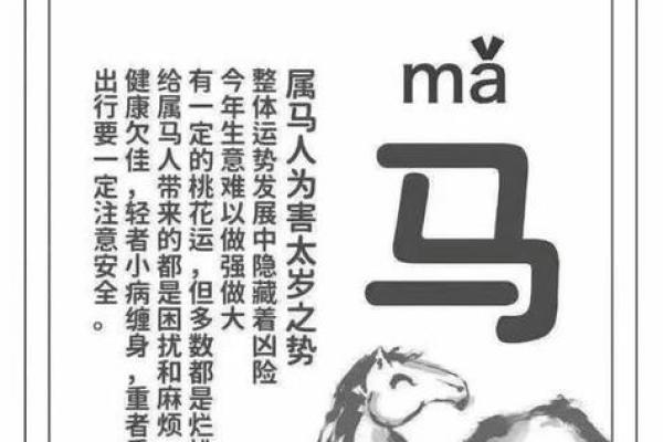 2025年属马的犯太岁吗_2025年属马犯太岁吗为什么 2025年属马的犯太岁吗_2025年属马犯太岁吗为什么