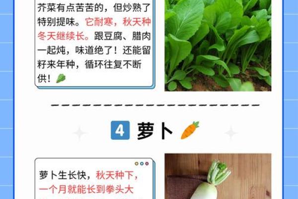 不冷不热是什么生肖(不冷不热猜一地名) 不冷不热是什么生肖(不冷不热猜一地名)