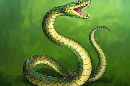 2025蛇年运势狂飙属蛇人九月起财富事业双爆发