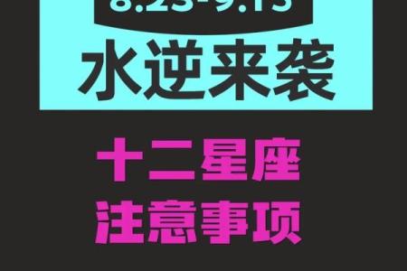 2023年12星座每月运势第一星座网_20212023星座运势