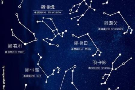 2025年12星座每月运势详解全年运势大揭秘