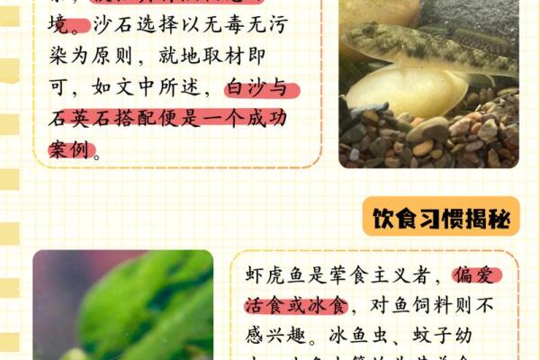 秀水之中有鱼虾是什么生肖(秀水之畔) 秀水之中有鱼虾是什么生肖(秀水之畔)