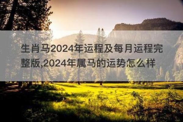 14年属马的多大了今年 14年属马吗 14年属马的多大了今年 14年属马吗