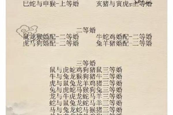 2002年属马的男孩最佳配偶 2002年属马的男孩最佳配偶上等婚姻 2002年属马的男孩最佳配偶 2002年属马的男孩最佳配偶上等婚姻