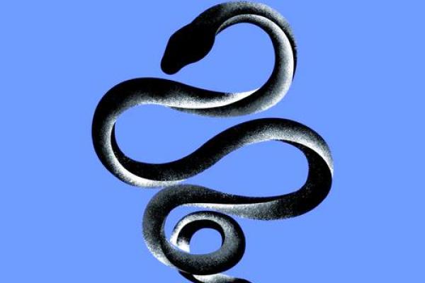 2001年属蛇人2025蛇年运势详解逐月运程全指南 2001年属蛇人2025蛇年运势详解逐月运程全指南