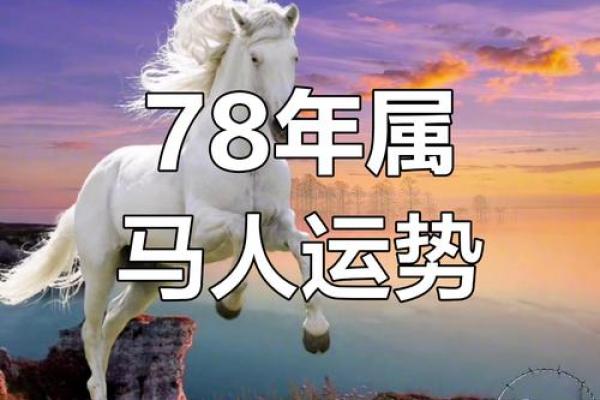 1966年属马人的运势_1966年属马人2023年运势解析财运事业健康全指南 1966年属马人的运势_1966年属马人2023年运势解析财运事业健康全指南
