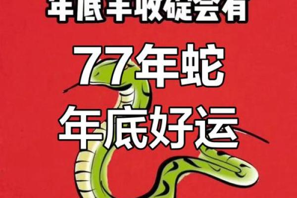 77年生肖蛇2025年运势_77年生肖蛇2025年运势完整版 77年生肖蛇2025年运势_77年生肖蛇2025年运势完整版