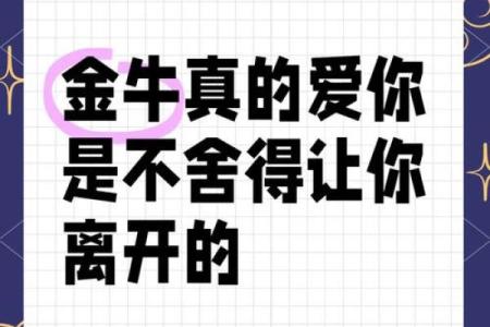 金牛座2025婚姻感情运势_金牛座2025婚姻感情运势解析爱情与幸福的关键时刻