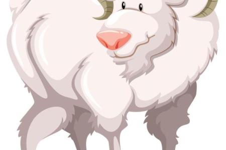 手疾眼快的动物打生肖(手疾眼快打一动物)