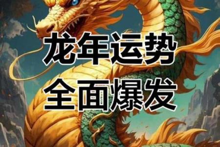 属龙人蛇年运势2025 2025年属龙运势及运程1976年生人