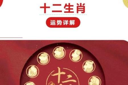 蛇年属鼠人2025年运势如何_2025蛇年属鼠人全年每月运势详解