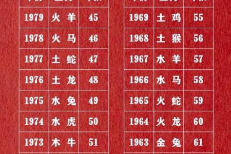 属龙的2025多少岁 2025属龙人年龄对照表农历正月起出生年份速查