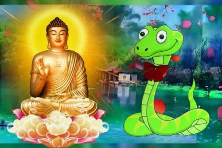 两个属蛇的人适合做夫妻吗_五月双蛇婚配宜忌解析属蛇人姻缘走向全揭秘