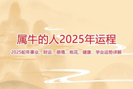 金牛座2025年事业运势详解_2022年金牛座将有15年大运
