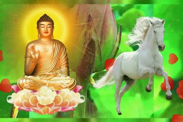 1990年属马的最佳配偶 1990年属马的最佳配偶财运 1990年属马的最佳配偶 1990年属马的最佳配偶财运