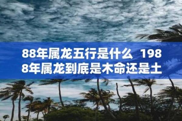 1988年生肖龙今日运势 1988年属龙今日运势怎么样 1988年生肖龙今日运势 1988年属龙今日运势怎么样