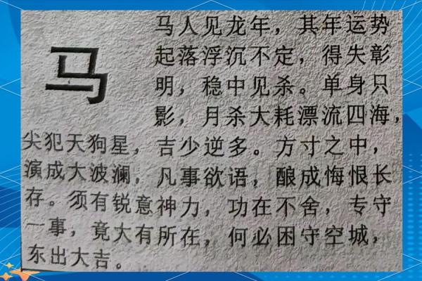 属马在2025年的运势 属马在2025年的运势如何 属马在2025年的运势 属马在2025年的运势如何