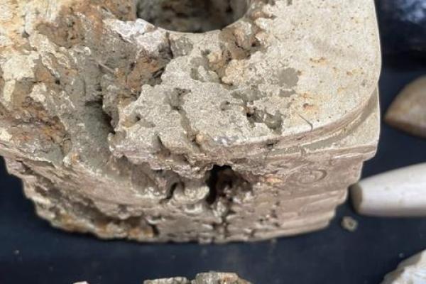 悬河注水是什么生肖(悬河注水是什么生肖呢) 悬河注水是什么生肖(悬河注水是什么生肖呢)