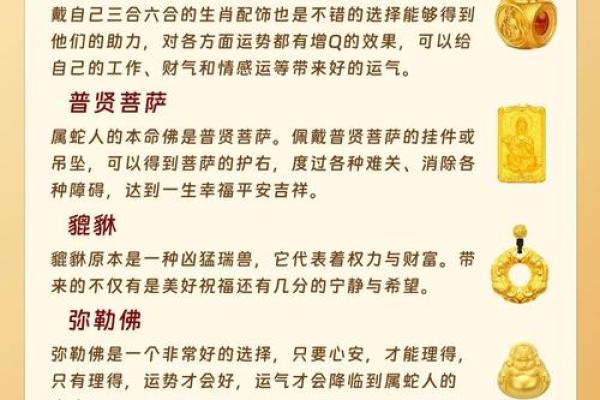2025年蛇是什么命 2013蛇2025年运势 2025年蛇是什么命 2013蛇2025年运势