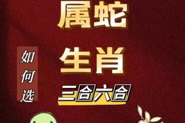 2025年蛇是什么命 2013蛇2025年运势 2025年蛇是什么命 2013蛇2025年运势