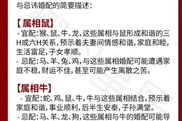 2001年属马的最佳婚配_属马最佳婚配 2001年属马的最佳婚配_属马最佳婚配