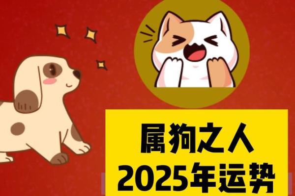 属狗今年运势2025年运势如何 2025属狗人最旺的颜色 属狗今年运势2025年运势如何 2025属狗人最旺的颜色
