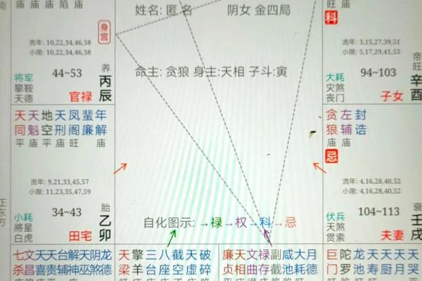 财帛宫生年禄 财帛宫生年禄转忌疾厄宫 财帛宫生年禄 财帛宫生年禄转忌疾厄宫