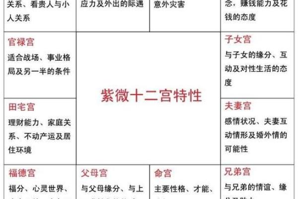 夫妻宫紫微星是什么意思_夫妻宫紫薇什么意思 夫妻宫紫微星是什么意思_夫妻宫紫薇什么意思