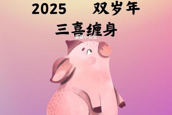 1971年属猪今年财运 1971年属猪今年财运在哪个方向 1971年属猪今年财运 1971年属猪今年财运在哪个方向
